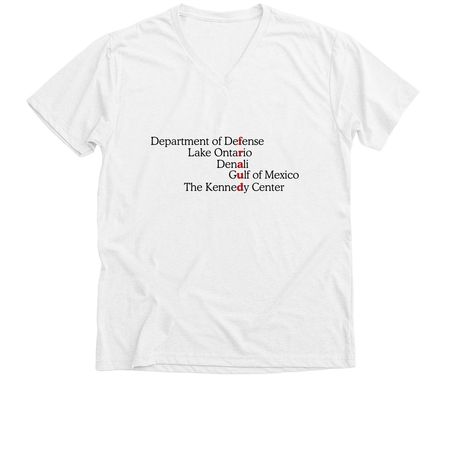 Lake Ontario ?, a Solid White Blend Premium V-Neck Tee