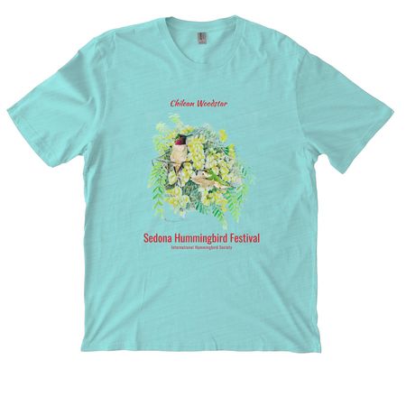 Chilean Woodstar 2026 Sedona Hummingbird Fest, a Saltwater Blue Allmade Organic Cotton Mineral Dye Tee