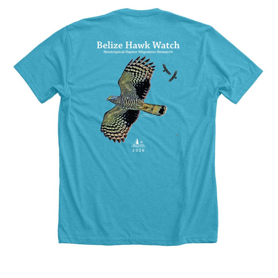 Belize Hawk Watch 2026, a Heather Aqua Premium Unisex Tee