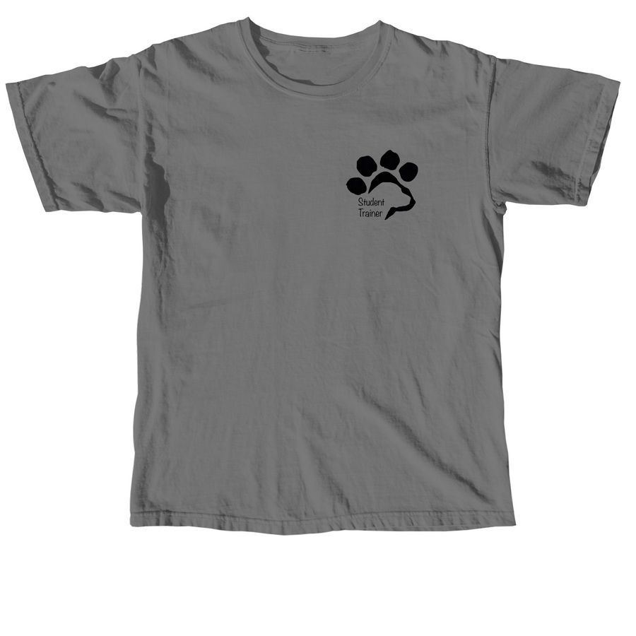Indy Student Trainer Bench Design, a Grey Comfort Colors Unisex Tee