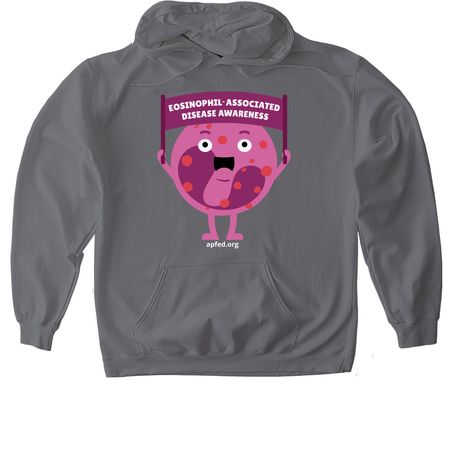 25th Anniversary Celebration, a Charcoal Gildan Softstyle Pullover Hoodie