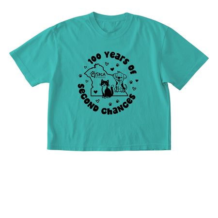 100 Years Of Second Chances, a Chalky Mint Comfort Colors Boxy Tee