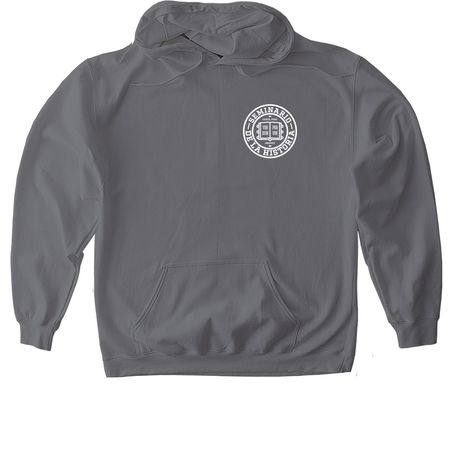 Seminary of the Story, a Charcoal Gildan Softstyle Pullover Hoodie