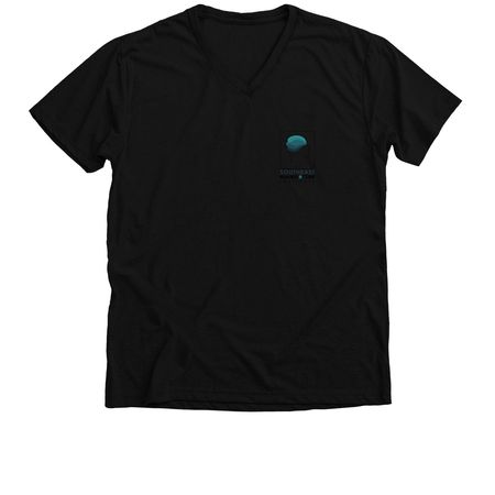 Southeast Brainspotting Institute, a Solid Black Blend Premium V-Neck Tee