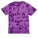 Team Eclipse 2026, a Purple Crystal Tie Dye Tee (back-view)
