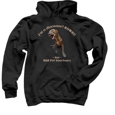 Ian the Dinosaur!, a Black Pullover Hoodie