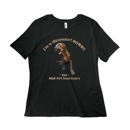Ian the Dinosaur!, a Vintage Black Women?s Relaxed Cotton Tee