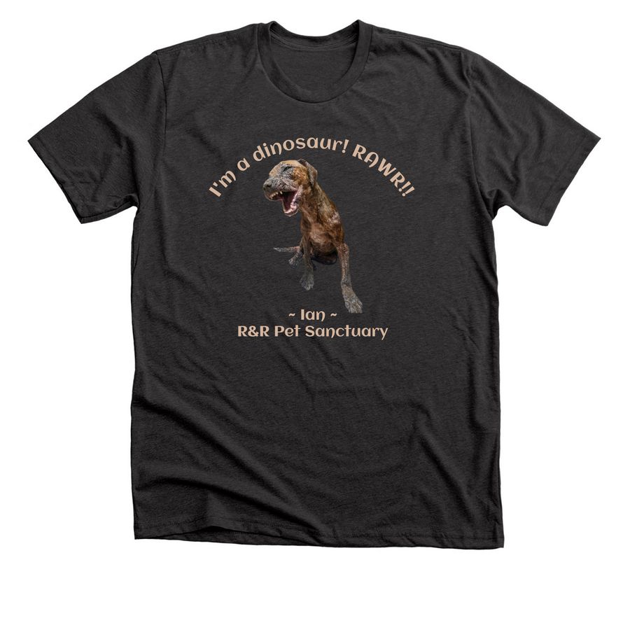Ian the Dinosaur!, a Dark Grey Heather Premium Unisex Tee