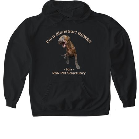 Ian the Dinosaur!, a Black Gildan Softstyle Pullover Hoodie