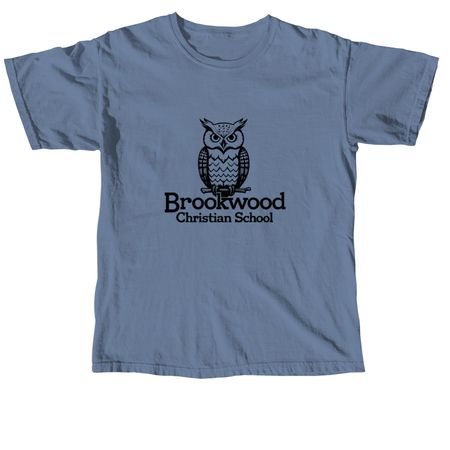 BCS: Owls, a Blue Jean Comfort Colors Unisex Tee