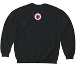 Kids Deserve Dads: Shared Parenting Tee, a Black Softstyle Crewneck Sweatshirt (back-view)