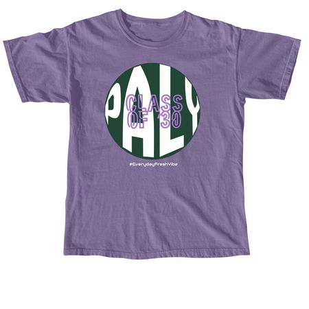 EVERYDAY FRESH VIBE, a Grape Comfort Colors Unisex Tee