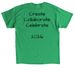 Night Fall 2026 Design, a Irish Green Classic Unisex Tee (back-view)