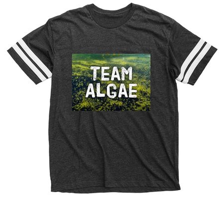 Team Algae - FDT, a Vintage Smoke / White Football Jersey Tee