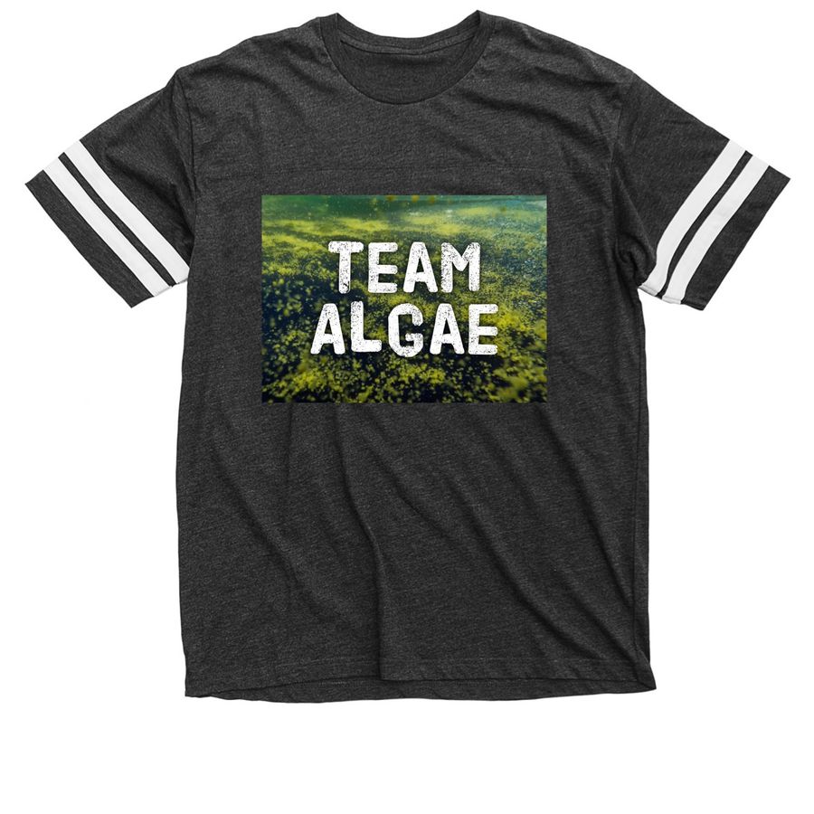 Team Algae - FDT, a Vintage Smoke / White Football Jersey Tee