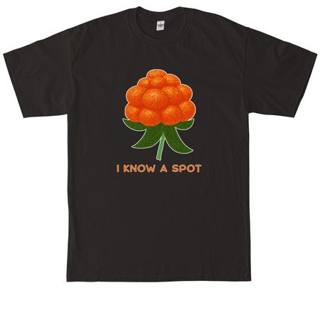 Aqpik - I Know a Spot, a Black Tall Classic Unisex Tee