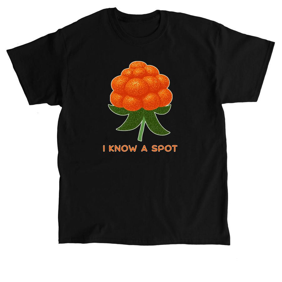 Aqpik - I Know a Spot, a Black Classic Unisex Tee