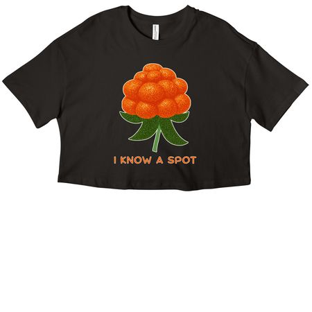 Aqpik - I Know a Spot, a Black Women?s Cropped Cotton Tee