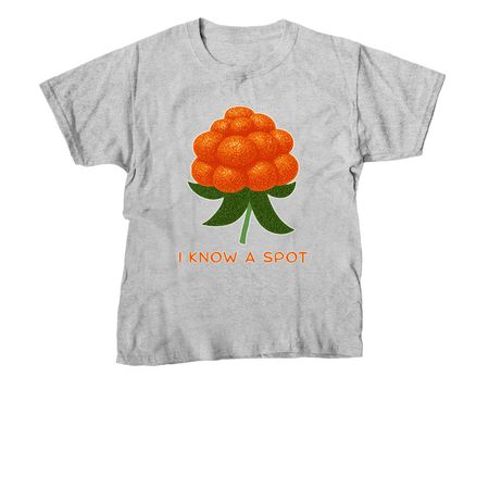 Aqpik - I Know a Spot, a Sport Grey Youth Unisex Tee