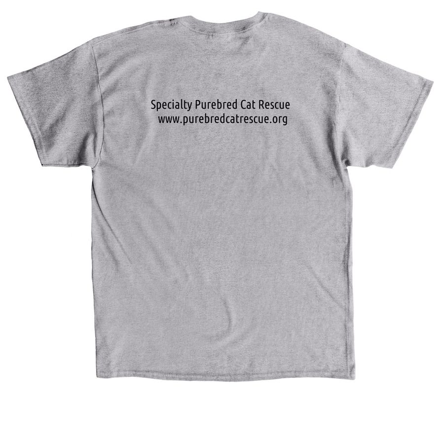 SPCR 2026 Shirts and Sweatshirts, a Sport Grey Classic Unisex Tee (back-view)