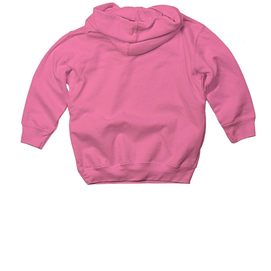 Future So Bright! (Toddlers), a Raspberry Toddler Pullover Hoodie (back-view)