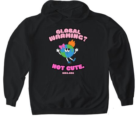 Global Warming?, a Black Gildan Softstyle Pullover Hoodie
