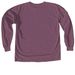 ABC Preschool Fundraising Merch, a Berry Comfort Colors Long Sleeve Tee (back-view)