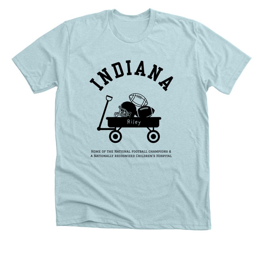 Riley School Program&nbsp;, a Heather Ice Blue Premium Unisex Tee