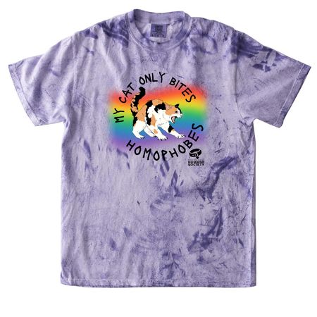Pride 2024 - Beware of Cat, a Amethyst Comfort Colors Colorblast Tee