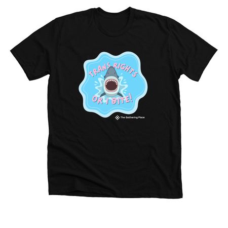 Trans Rights, a Solid Black Blend Premium Unisex Tee