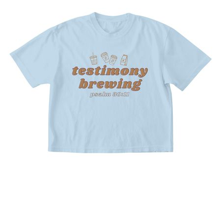Testimony, a Chambray Comfort Colors Boxy Tee
