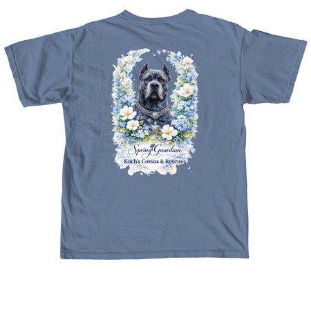 2026 Spring&nbsp;, a Blue Jean Comfort Colors Unisex Tee