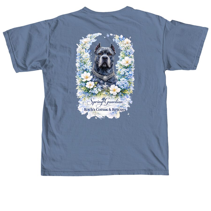 2026 Spring&nbsp;, a Blue Jean Comfort Colors Unisex Tee