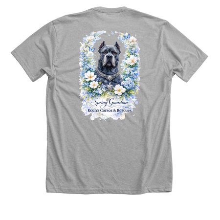 2026 Spring&nbsp;, a Athletic Heather Premium Unisex Tee