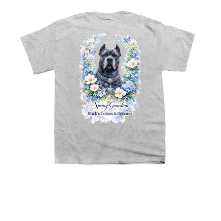 2026 Spring&nbsp;, a Sport Grey Youth Unisex Tee