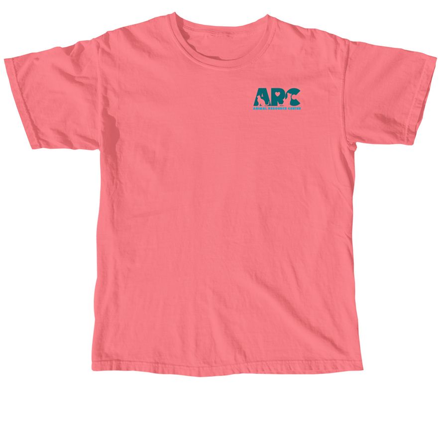 Cat Lover?Tarot Card, a Watermelon Comfort Colors Unisex Tee