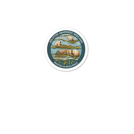 Sea Otter Awareness Week 2026 Sticker, a White Kiss Cut Sticker