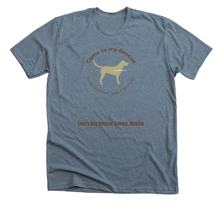 Summer 25 Tanks +Tees, a Heather Slate Premium Unisex Tee
