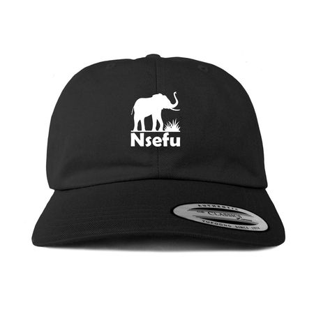 Baseball Hat w/ Logo, a Black Printed Classic Baseball Cap