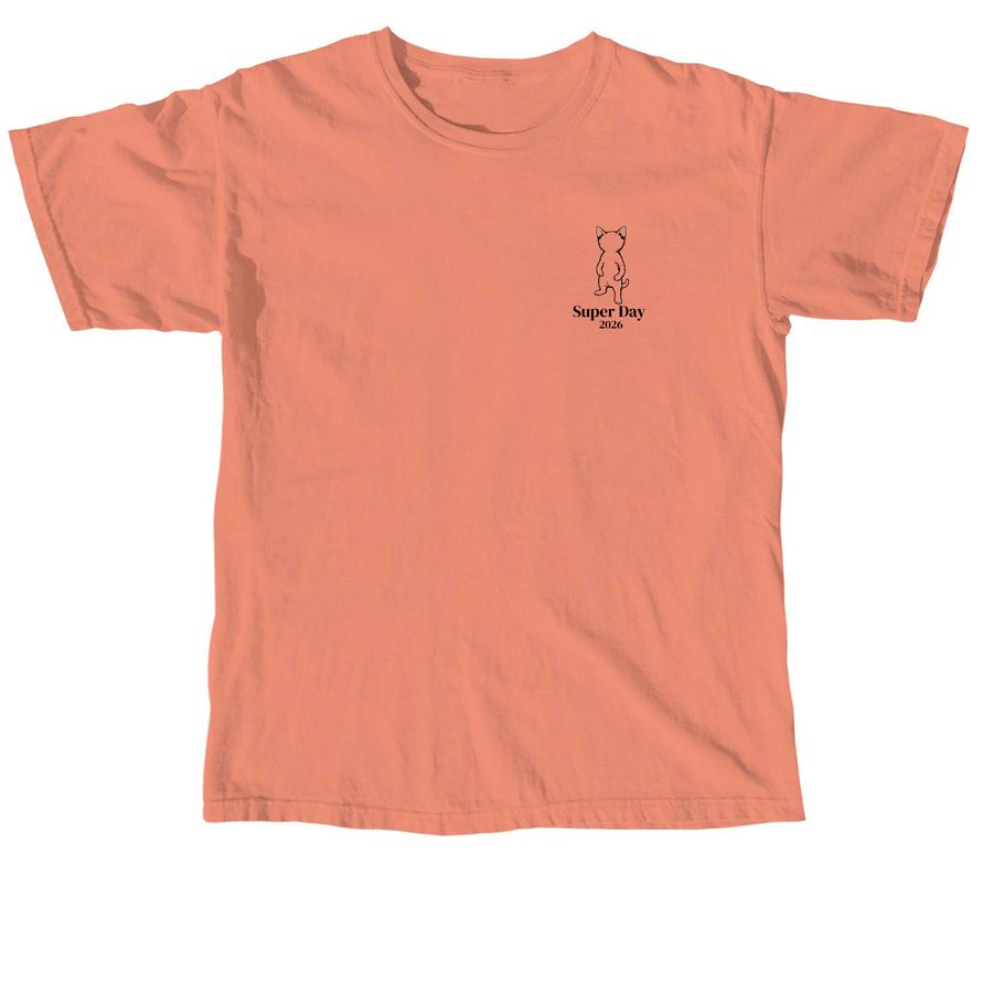 It's Super Day, a Terracotta Comfort Colors Unisex Tee