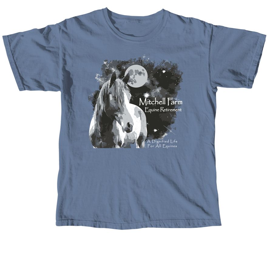 A Dignified Life For All Equines, a Blue Jean Comfort Colors Unisex Tee