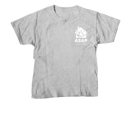 Shirts & Hoodies&nbsp;, a Sport Grey Youth Unisex Tee
