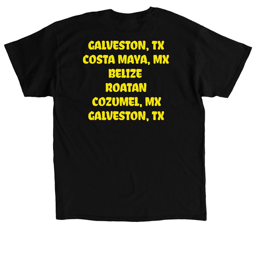 4.0 BOOS T, a Black Classic Unisex Tee (back-view)