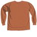 Boo Boo Crew - ATXNC EC, a Yam Comfort Colors Long Sleeve Tee (back-view)