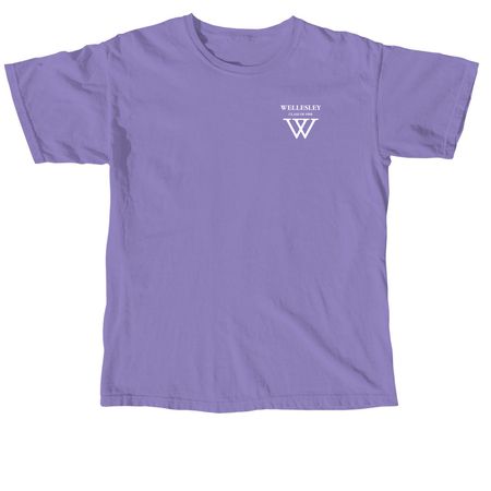 Spinster Tartlets(Purple)-Short & Long Sleeve, a Violet Comfort Colors Unisex Tee