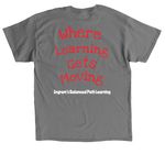 IBPL Shirts are here!, a Charcoal Classic Unisex Tee (back-view)