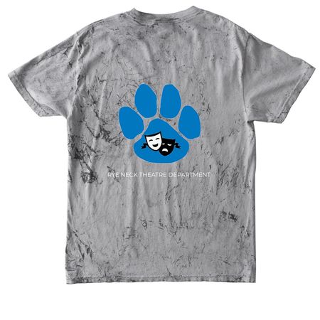 LOGO ON BACK, a Smoke Comfort Colors Colorblast Tee