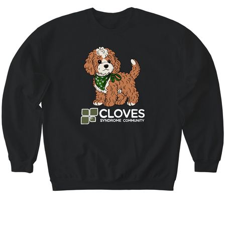 CSC Fall 2026 Collection - Maple Shirts, a Black Softstyle Crewneck Sweatshirt