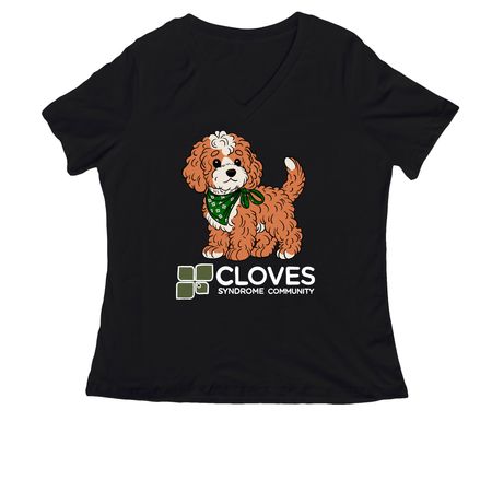 CSC Fall 2026 Collection - Maple Shirts, a Black Women's Relaxed V-Neck Tee
