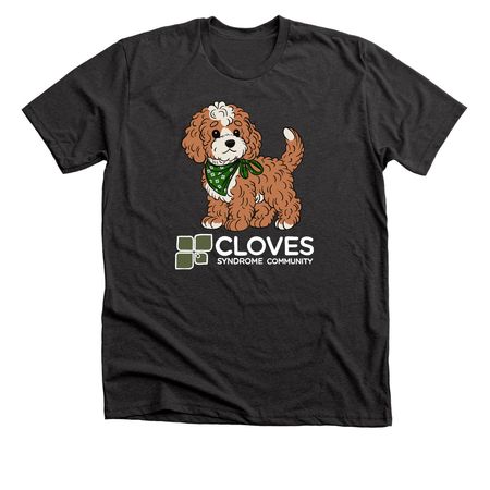 CSC Fall 2026 Collection - Maple Shirts, a Dark Grey Heather Premium Unisex Tee